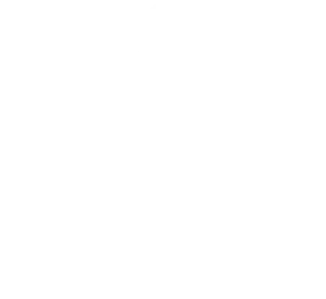 cybersecurity icon