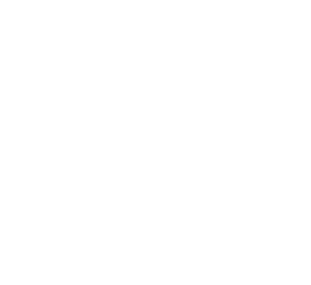 cybersecurity icon
