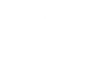 Delivery icon