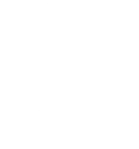 experience icon