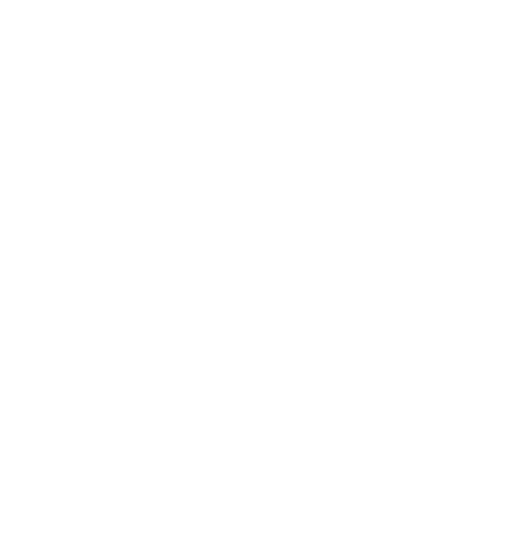 experience icon