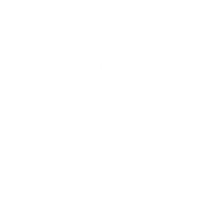 inspection icon