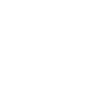 material icon