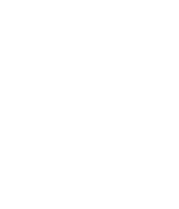 standard icon