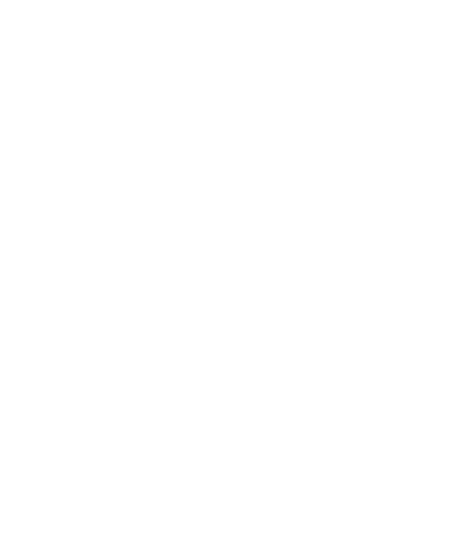 standard icon